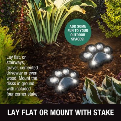 Image showing  3-Lumen Color Changing Paw Print Path Lights, 6-Pack