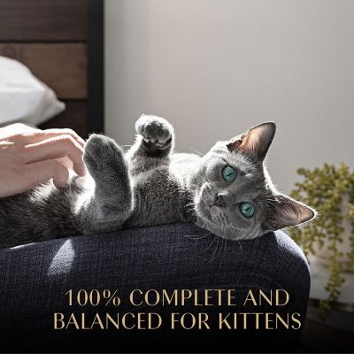 Image showing 5 th Sheba Perfect Portions Kitten Pate Wet Cat Food, 2.65 oz. Trays, 24 ct.