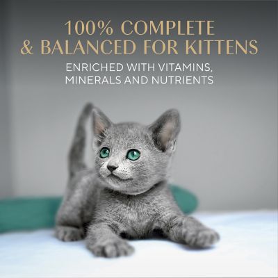 Image showing  Perfect Portions Wet Kitten Food Pate Chicken Entree, Single 2.64 oz