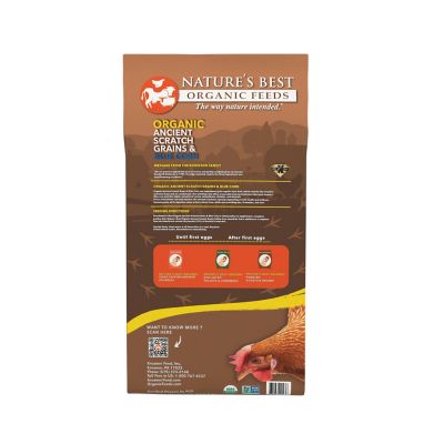 Image showing  Ancient Scratch Grains with Blue Corn