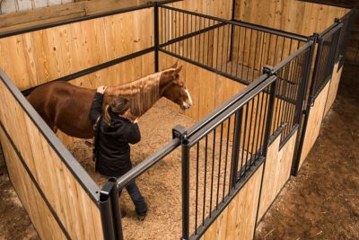 Image showing  12 ft. Side Solid Lumber Kit for Standard 12 ft. Horse Stalls