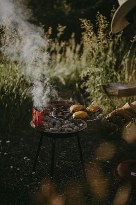 Image showing 7 th Gas One Portable Charcoal Grill