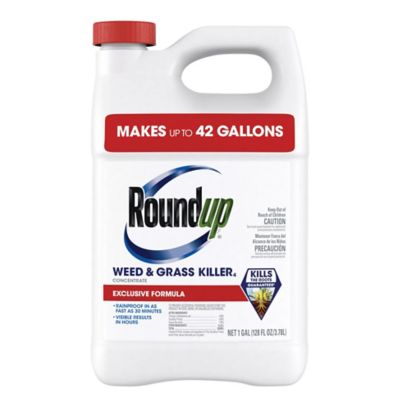 Roundup Weed & Grass Killer4 Concentrate, 1 gal.