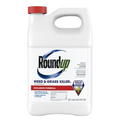 Roundup Weed & Grass Killer4 Concentrate, 1 gal.