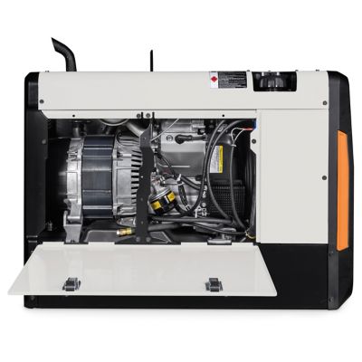 Image showing  25V/225A Champion Elite 225 Welder