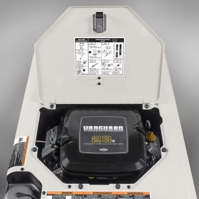 Image showing  25V/225A Champion Elite 225 Welder