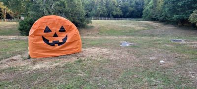 Image showing  Holiday Bale Cover, 4 in. x 8.5 in. x 11 in., Black/Orange, Pumpkin Face