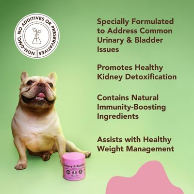 Image showing  Urinary and Bladder Chewable Supplement for Dogs, 90 ct.