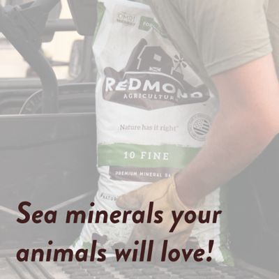 Image showing  10 Fine Premium Mineral Salt Cattle Feed, 5 lb.