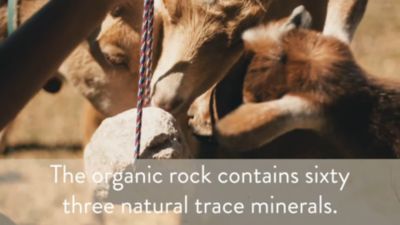 Image showing  Rock on a Rope Premium Goat Mineral, 3 lb.