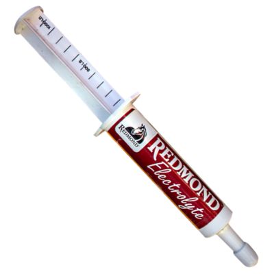 Redmond Electrolyte Mint Syringe