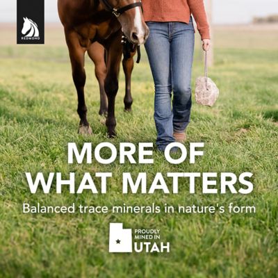 Image showing  Horse Rock on Rope, 3 lb.