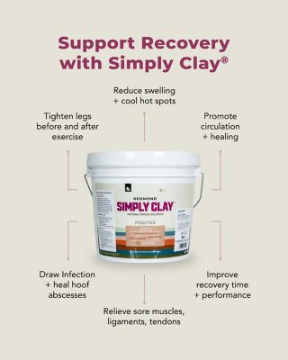 Image showing  Red Edge Horse Poultice