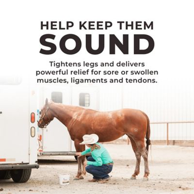 Image showing  Red Edge Horse Poultice