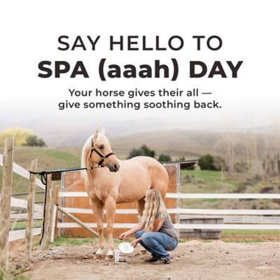 Image showing  Red Edge Horse Poultice