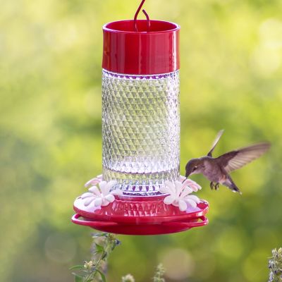 Image showing  13 oz. Glass Gravity Hummingbird Feeder, Cherry
