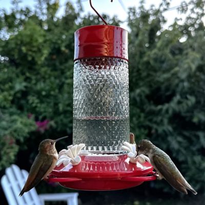 Image showing  13 oz. Glass Gravity Hummingbird Feeder, Cherry