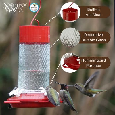 Image showing  13 oz. Glass Gravity Hummingbird Feeder, Cherry