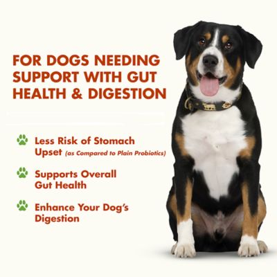 Image showing  K9 Pre and PostBiotic Support Formula for Dogs, Pot Roast Flavor, 32 oz.