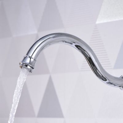Image showing  Single-Handle Standard Kitchen Faucet with Side Sprayer in Rust and Spot Resist in Polished Chrome