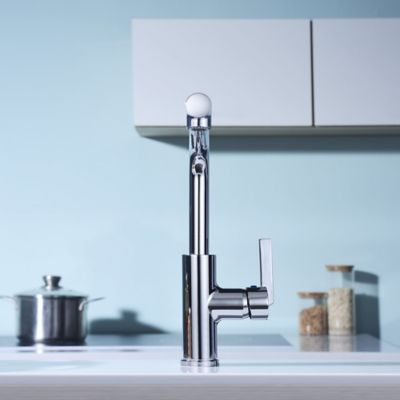 Image showing  Hena Single-Handle Pull-Out Sprayer Kitchen Faucet with Accessories in Rust and Spot Resist in Polished Chrome