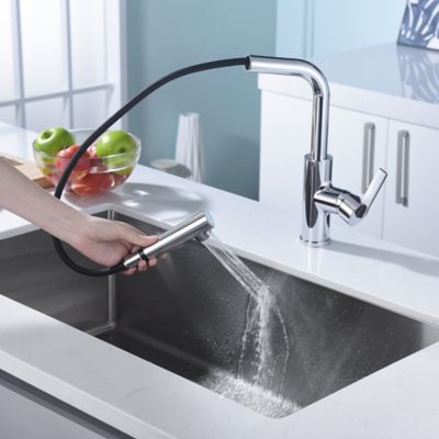 Image showing  Hena Single-Handle Pull-Out Sprayer Kitchen Faucet with Accessories in Rust and Spot Resist in Polished Chrome
