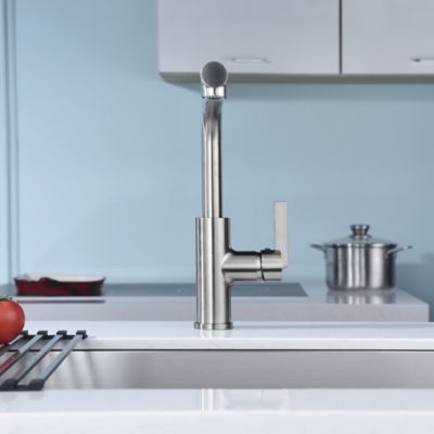 Image showing  Hena Single-Handle Pull-Out Sprayer Kitchen Faucet with Accessories in Rust and Spot Resist in Brushed Nickel