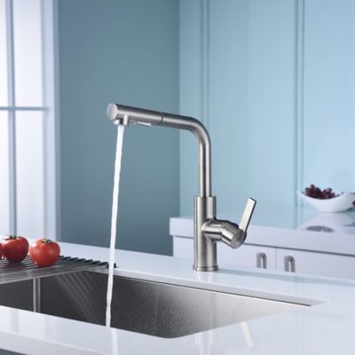 Image showing  Hena Single-Handle Pull-Out Sprayer Kitchen Faucet with Accessories in Rust and Spot Resist in Brushed Nickel