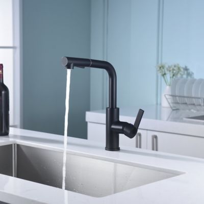 Image showing  Hena Single-Handle Pull-Out Sprayer Kitchen Faucet with Accessories in Rust and Spot Resist in Matte Black