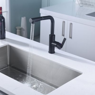 Image showing  Hena Single-Handle Pull-Out Sprayer Kitchen Faucet with Accessories in Rust and Spot Resist in Matte Black