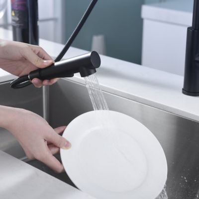 Image showing  Hena Single-Handle Pull-Out Sprayer Kitchen Faucet with Accessories in Rust and Spot Resist in Matte Black