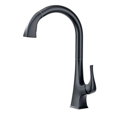 Ultra Faucets Quest Single Handle Pull-Down Sprayer Kitchen Faucet with Accessories in Rust and Spot Resist in Matte Black
