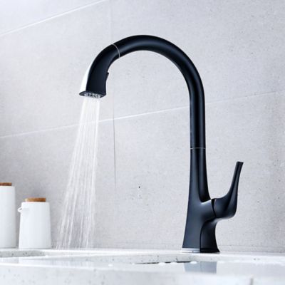 Image showing  Quest Single Handle Pull-Down Sprayer Kitchen Faucet with Accessories in Rust and Spot Resist in Matte Black