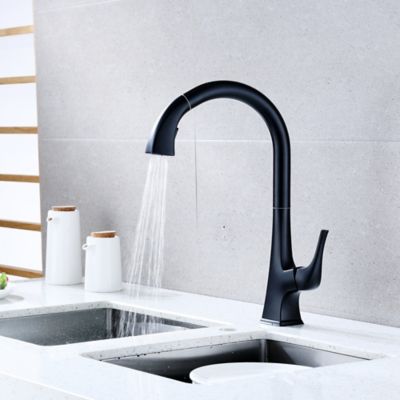 Image showing  Quest Single Handle Pull-Down Sprayer Kitchen Faucet with Accessories in Rust and Spot Resist in Matte Black