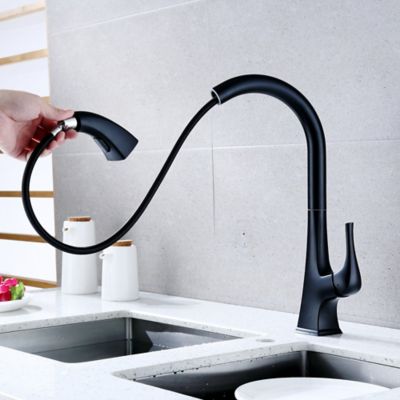 Image showing  Quest Single Handle Pull-Down Sprayer Kitchen Faucet with Accessories in Rust and Spot Resist in Matte Black