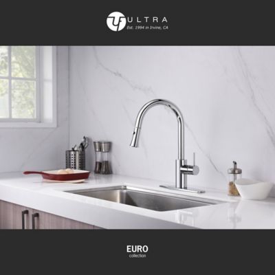 Image showing  Euro Single-Handle Pull-Down Sprayer Kitchen Faucet with Accessories in Rust and Spot Resist in Polished Chrome