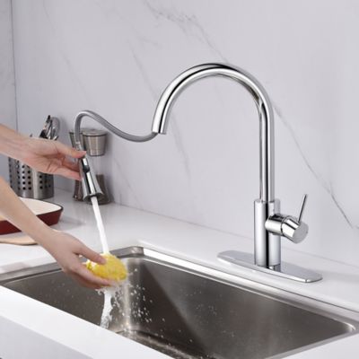 Image showing  Euro Single-Handle Pull-Down Sprayer Kitchen Faucet with Accessories in Rust and Spot Resist in Polished Chrome