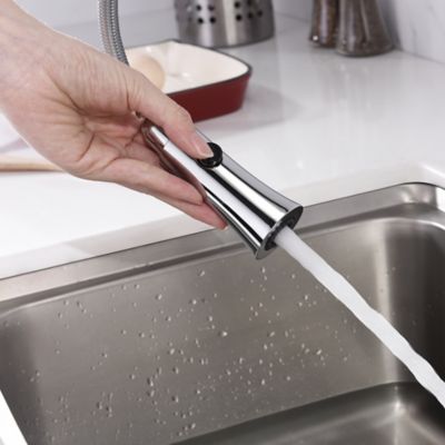 Image showing  Euro Single-Handle Pull-Down Sprayer Kitchen Faucet with Accessories in Rust and Spot Resist in Polished Chrome