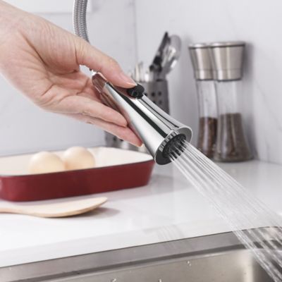 Image showing  Euro Single-Handle Pull-Down Sprayer Kitchen Faucet with Accessories in Rust and Spot Resist in Polished Chrome