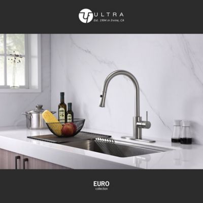 Image showing  Euro Single-Handle Pull-Down Sprayer Kitchen Faucet with Accessories in Rust and Spot Resist in Brushed Nickel