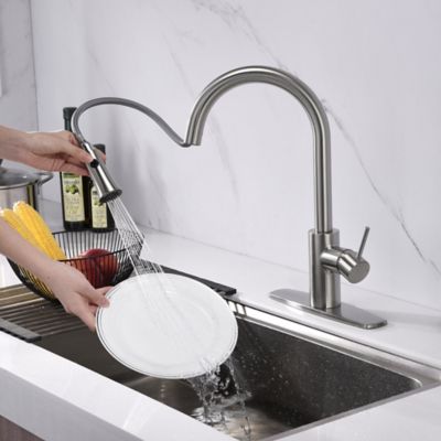 Image showing  Euro Single-Handle Pull-Down Sprayer Kitchen Faucet with Accessories in Rust and Spot Resist in Brushed Nickel