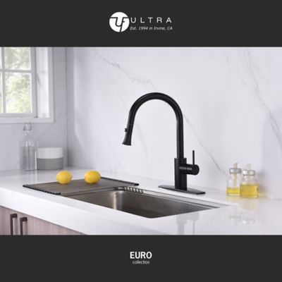Image showing  Euro Single-Handle Pull-Down Sprayer Kitchen Faucet with Accessories in Rust and Spot Resist in Oil Rubbed Bronze