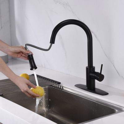 Image showing  Euro Single-Handle Pull-Down Sprayer Kitchen Faucet with Accessories in Rust and Spot Resist in Oil Rubbed Bronze