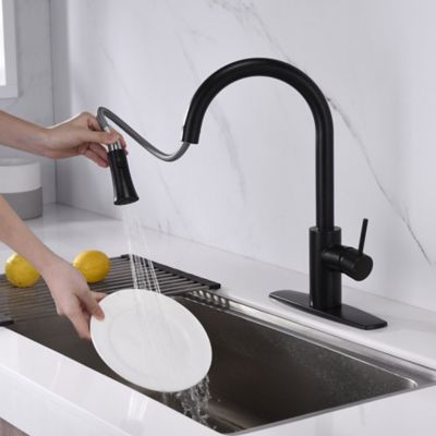 Image showing  Euro Single-Handle Pull-Down Sprayer Kitchen Faucet with Accessories in Rust and Spot Resist in Oil Rubbed Bronze