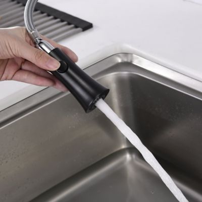 Image showing  Euro Single-Handle Pull-Down Sprayer Kitchen Faucet with Accessories in Rust and Spot Resist in Oil Rubbed Bronze