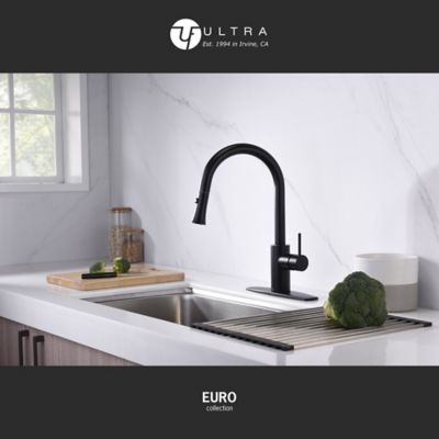 Image showing  Euro Single-Handle Pull-Down Sprayer Kitchen Faucet with Accessories in Rust and Spot Resist in Matte Black