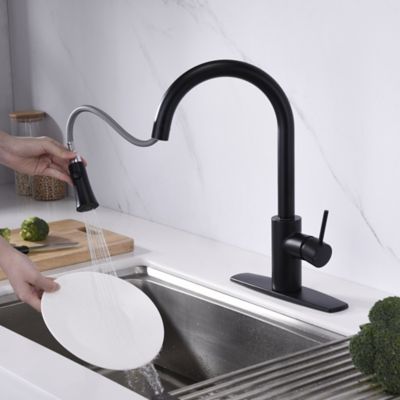 Image showing  Euro Single-Handle Pull-Down Sprayer Kitchen Faucet with Accessories in Rust and Spot Resist in Matte Black