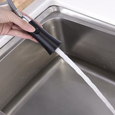 Image showing  Euro Single-Handle Pull-Down Sprayer Kitchen Faucet with Accessories in Rust and Spot Resist in Matte Black