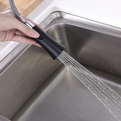 Image showing  Euro Single-Handle Pull-Down Sprayer Kitchen Faucet with Accessories in Rust and Spot Resist in Matte Black