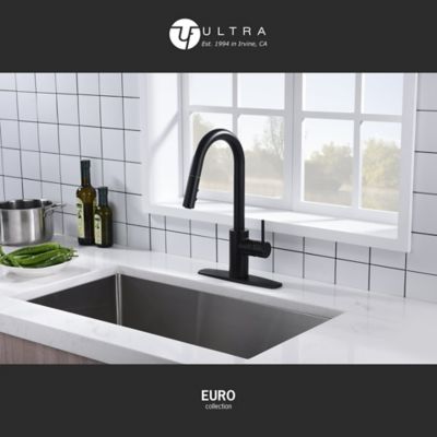 Image showing  Euro Modern Single-Handle Pull-Down Sprayer Kitchen Faucet with Accessories in Rust and Spot Resist in Matte Black